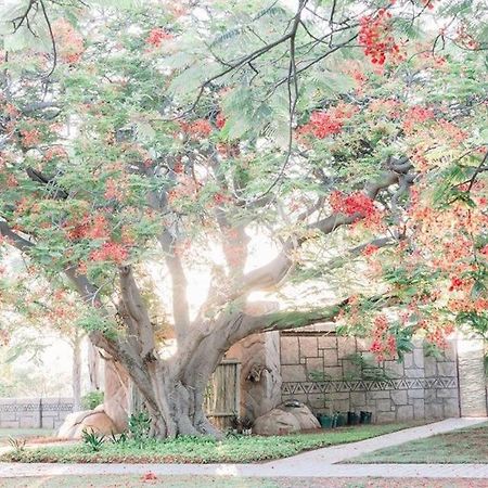 Tshukudiba Game Lodge Tom Burke Luaran gambar